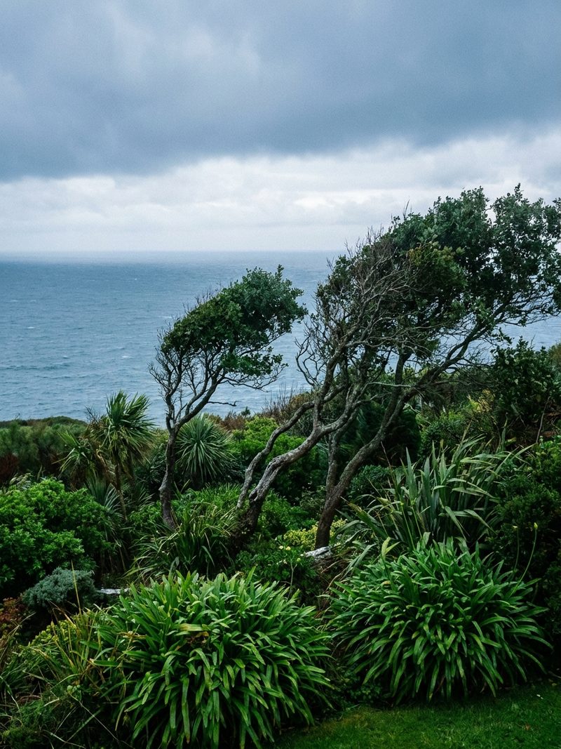Wild Atlantic Garden